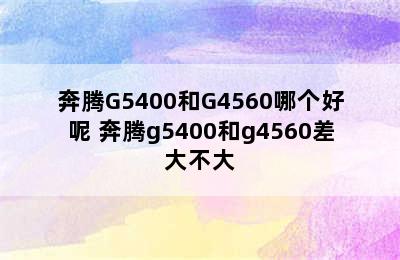 奔腾G5400和G4560哪个好呢 奔腾g5400和g4560差大不大